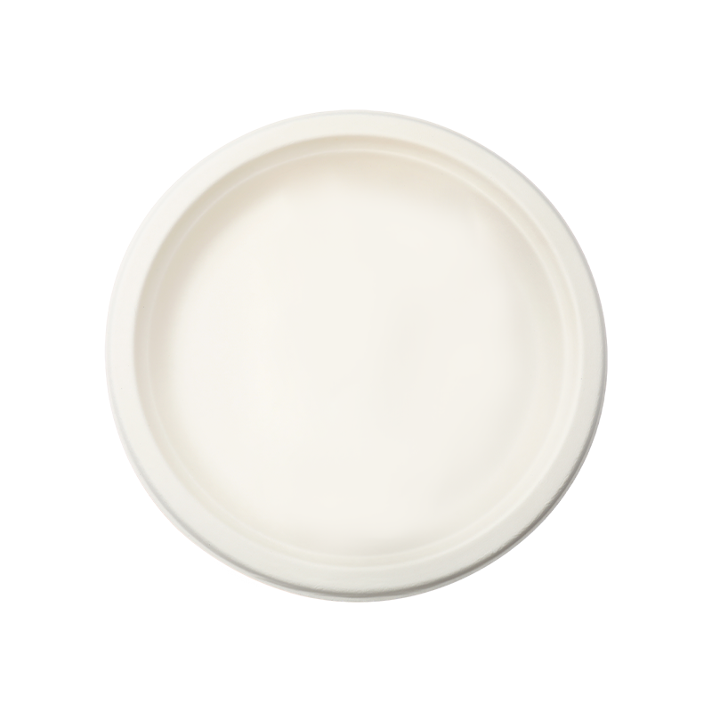 Oval miljövänlig serveringstallrik